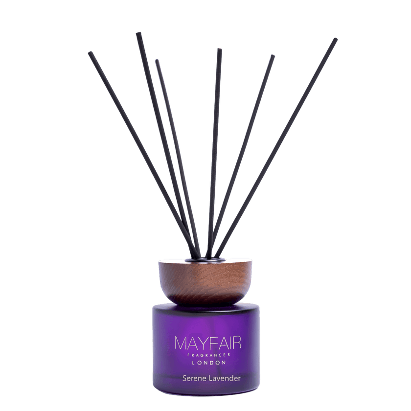 Serene Lavender - MayFair