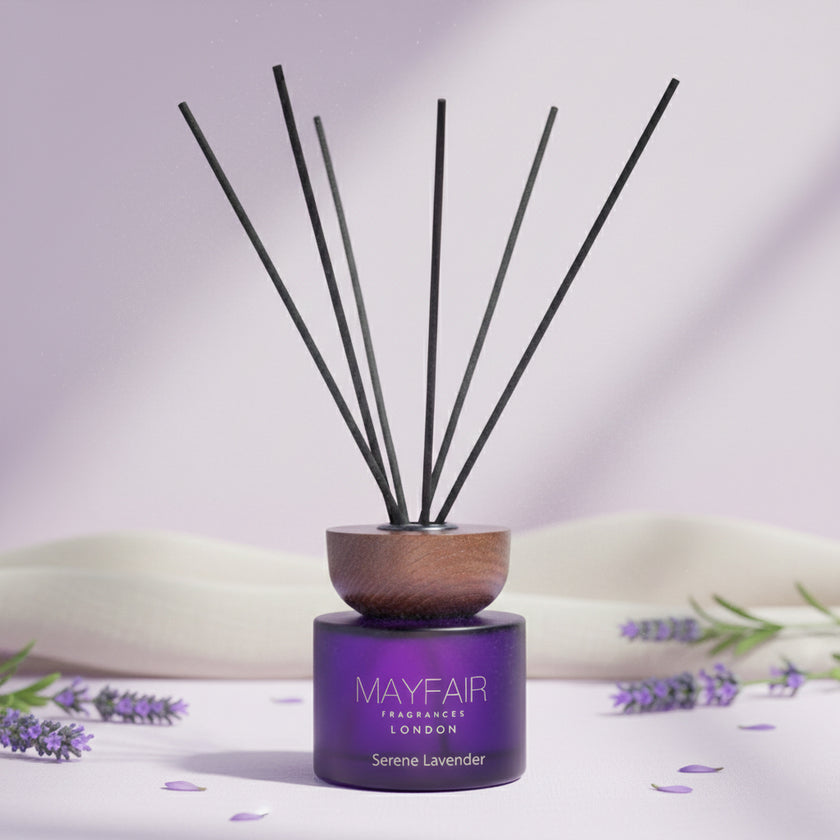Serene Lavender